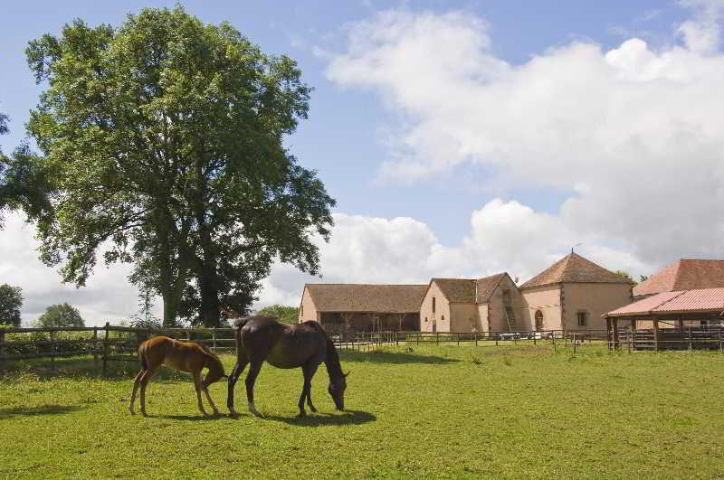 Chateau D'ygrande - Teritoria Ygrande